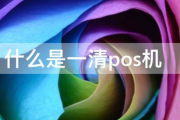 如何辨别正规一清POS机（正规一清POS机是什么）